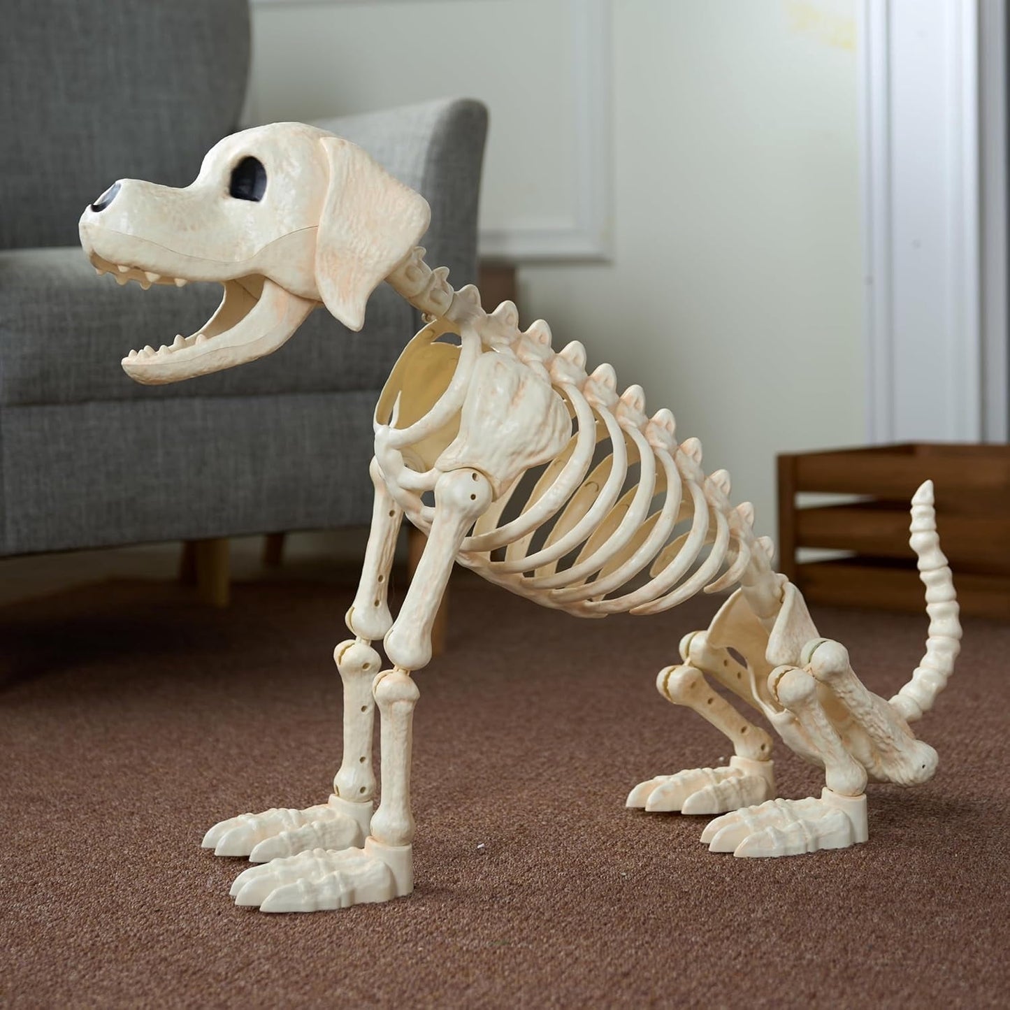 Joyfy 34 Golden Skeleton Halloween Decoration, Posable Plastic Animals Halloween Skeleton for Indoor Outdoor Halloween Decorations