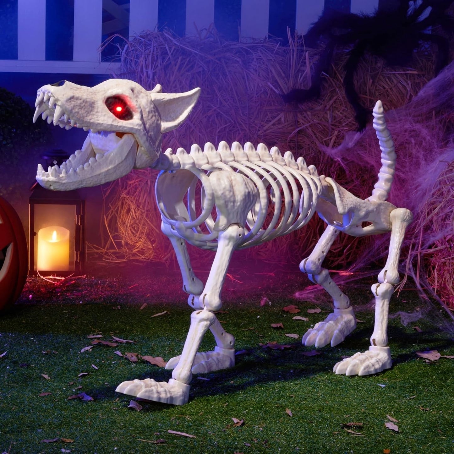 Joyfy 34 Wolf Halloween Skeleton with Red LED Eyes, Posable Plastic Animals Halloween Skeleton for Indoor Outdoor Halloween Decorations