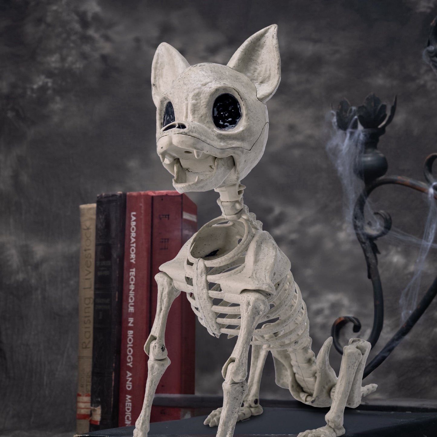 Joyfy 12.6 Halloween Plastic Chihuahua Dog Skeleton with Posable Joints, Plastic Full Body Skeleton for Party Spooky Animal Courtyard Decorations, Outdoor Indoor Decor