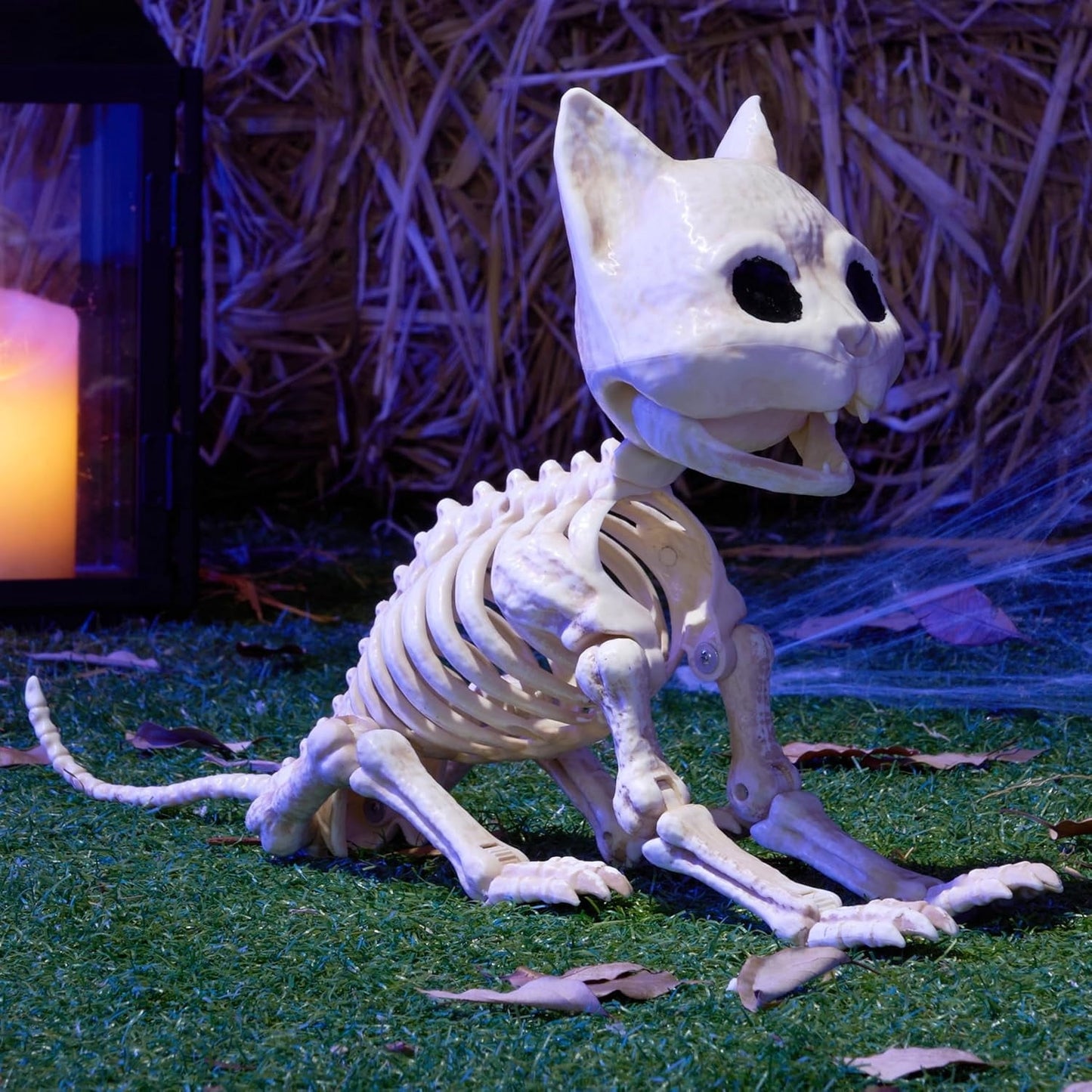 Joyfy 8 Inch Cat Skeleton Halloween Decoration,Posable Plastic Animals Halloween Skeleton for Indoor Outdoor Halloween Decorations,Haunted House Party Props