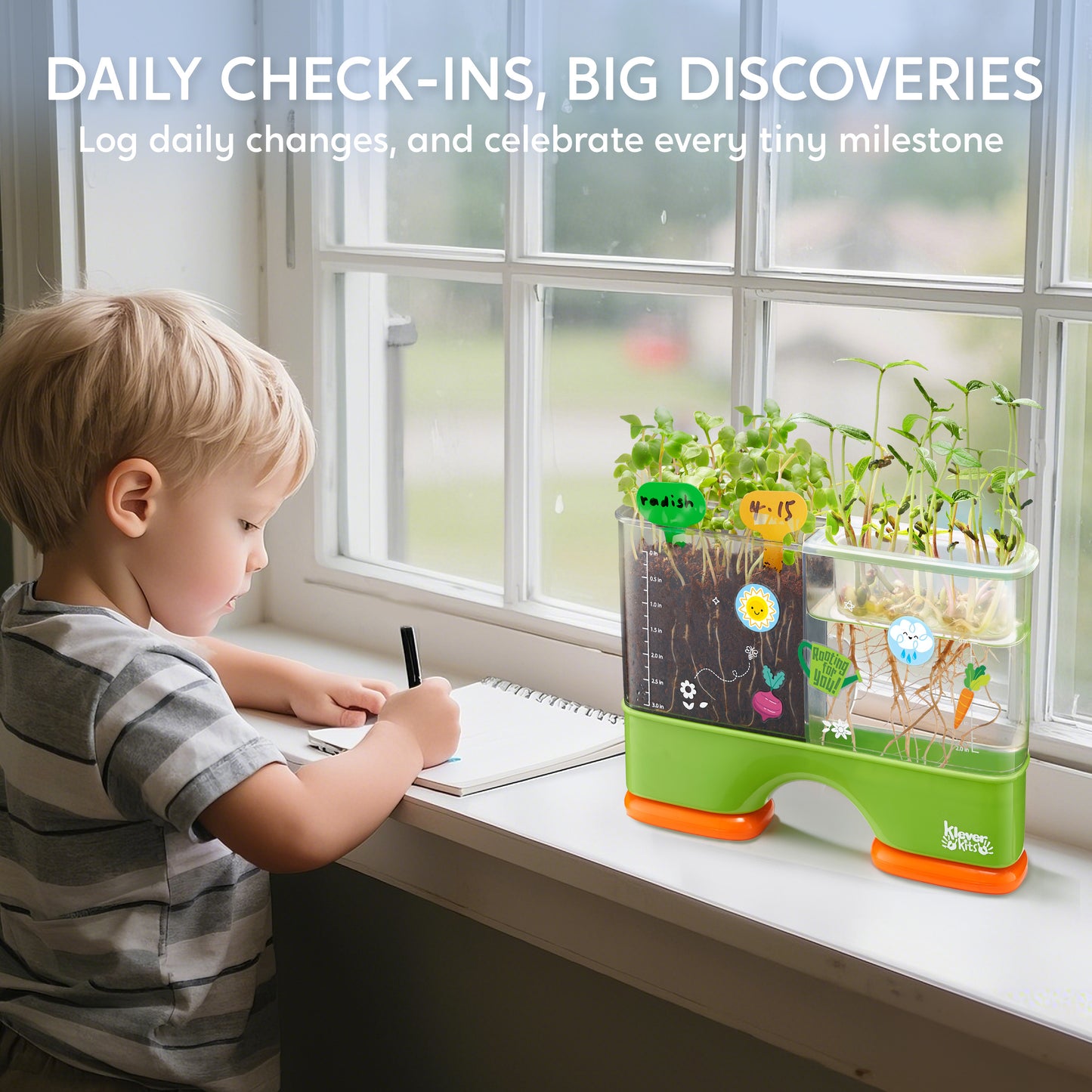 Klever Kits 2 in 1 Root Viewer Kit - Grow Your Own Plant, Educational Toy Science Kit for Kids Age 6-12
