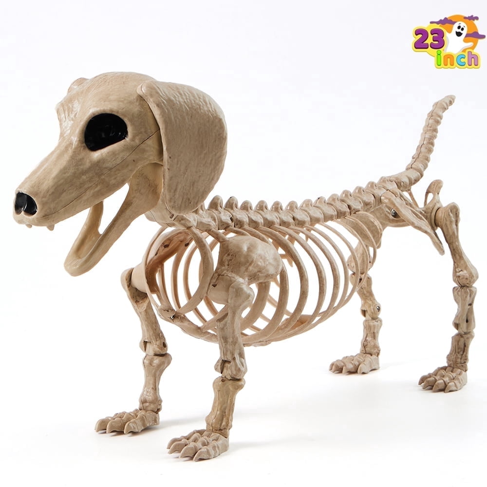 Joyfy 24 Halloween Wiener Dog Skeleton with Posable Joints, Plastic Full Body Skeleton for Party Spooky Animal Courtyard Decorations, Outdoor Indoor Decor