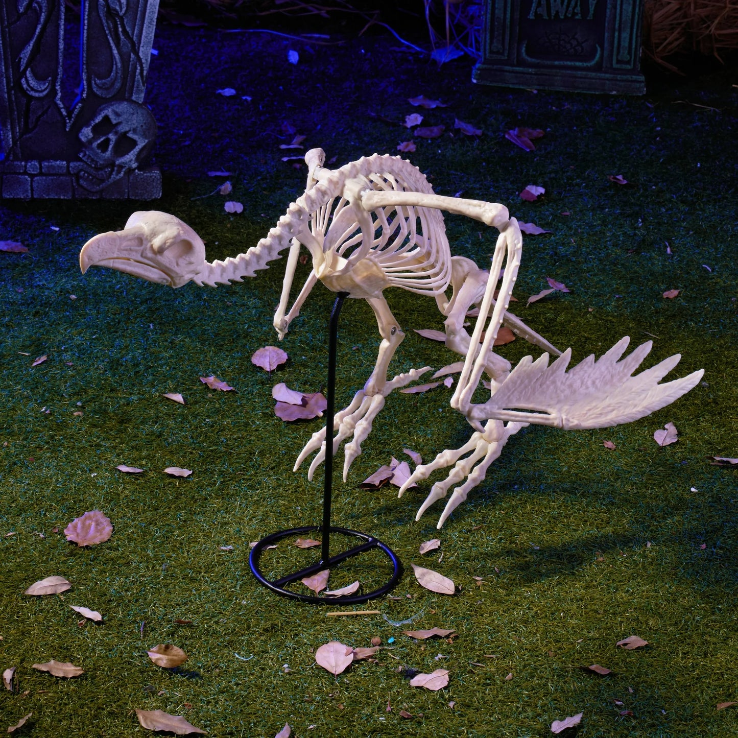 Joyfy 12 inch Halloween Vulture Skeleton Decorations, Posable Animal Skeletons with Movable Joints for Indoor Outdoor Yard Garden Lawn Spooky Scene Props Decor