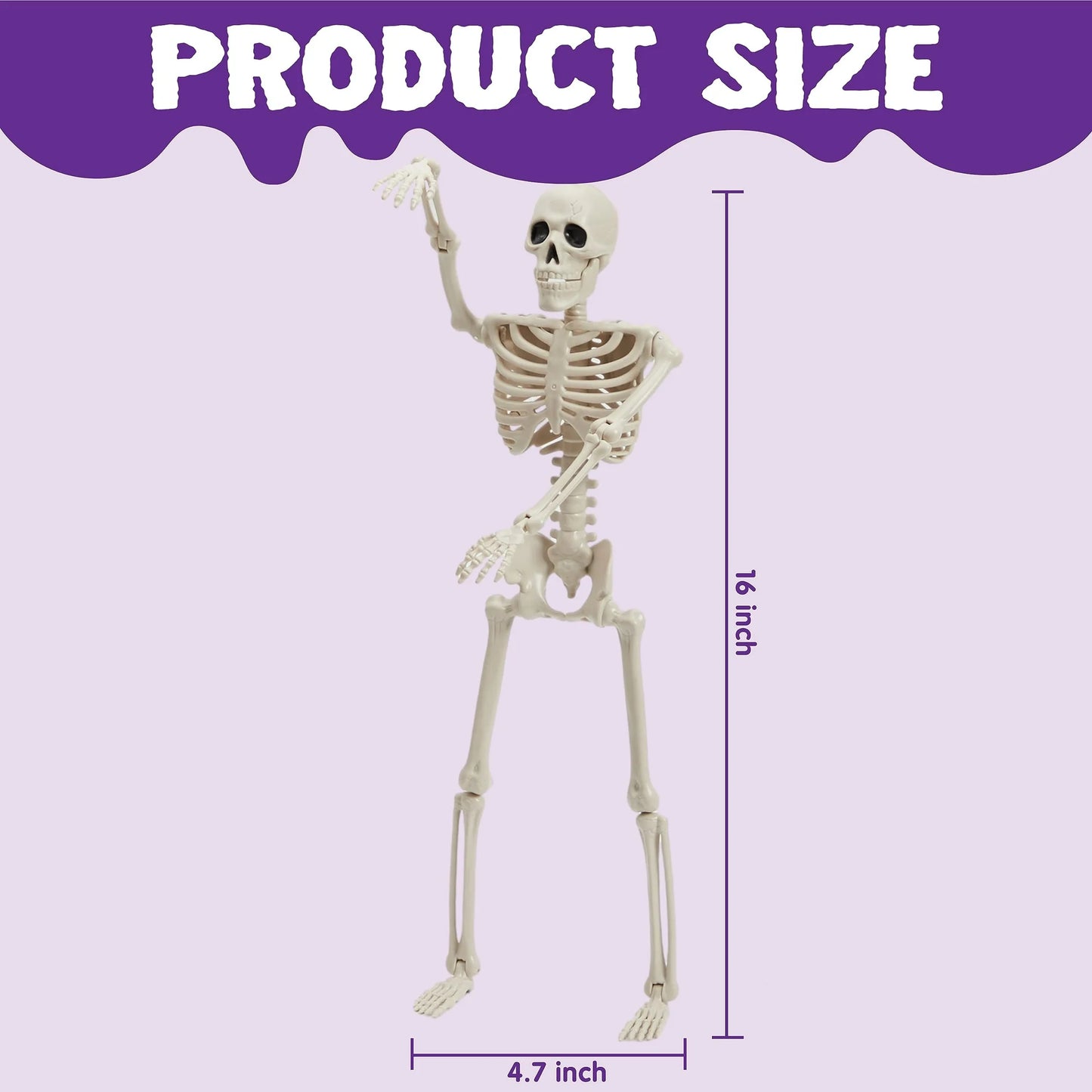 Joyfy 2 Pcs Halloween Skeleton Decorations,16 inch Poseable Skeleton with Movable Joints for Halloween Indoor Outdoor,Haunted House Accessories,White
