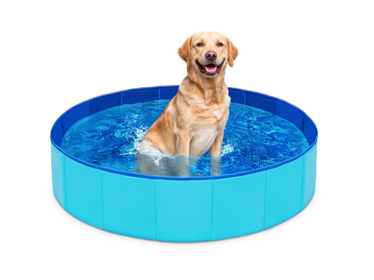 JOYFY 32 x 8 Inches Plastic Kiddie Pool, Pet Swimming Pool Foldable Portable for Dogs Cats and Kids Blue