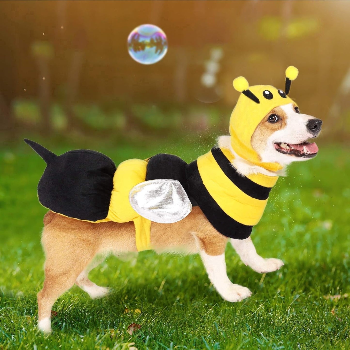 Joyfy Pet Dog Bee Costume, Bumble Bee Dog Costume with 3D Hat and Wings for Halloween Dress Up Party,Medium