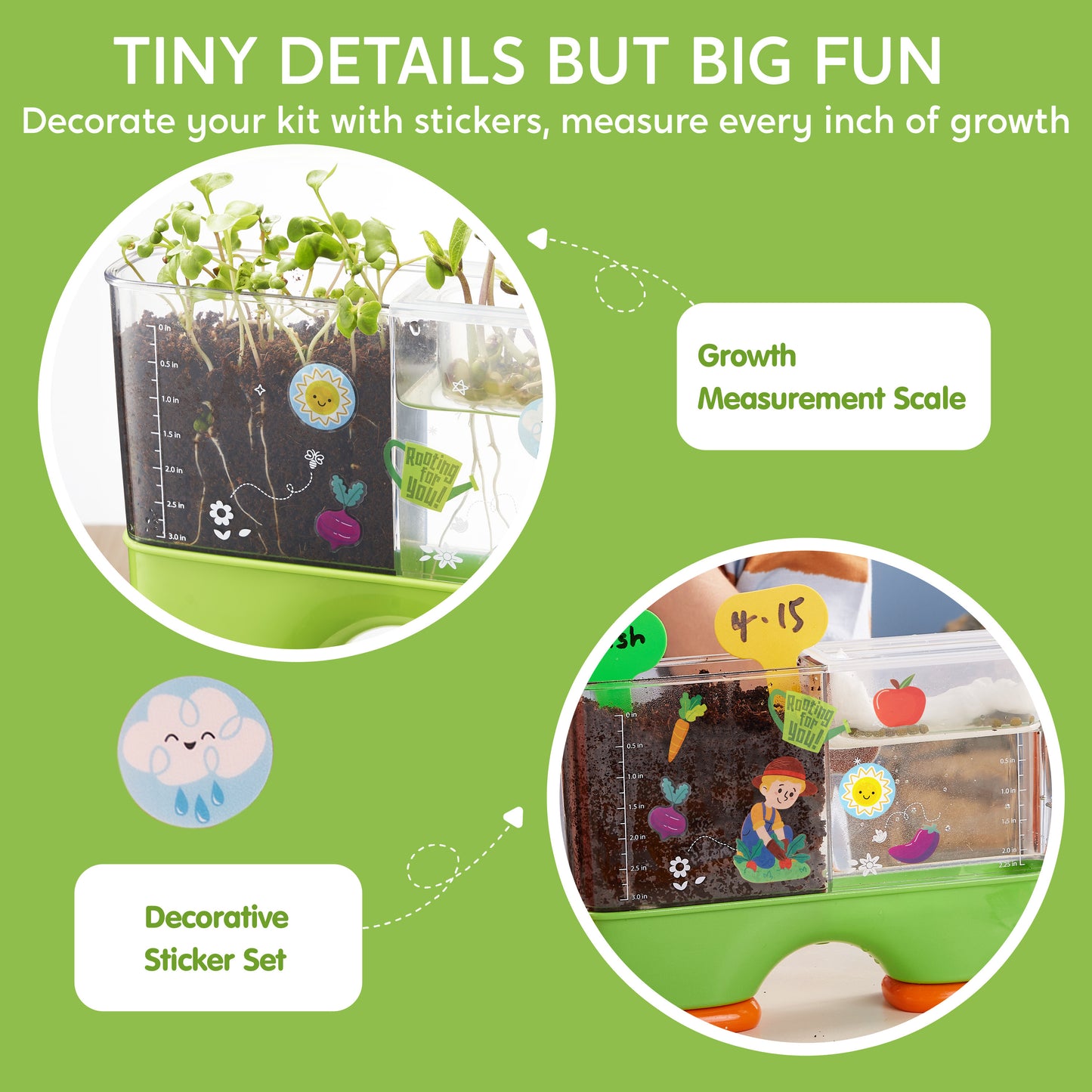 Klever Kits 2 in 1 Root Viewer Kit - Grow Your Own Plant, Educational Toy Science Kit for Kids Age 6-12