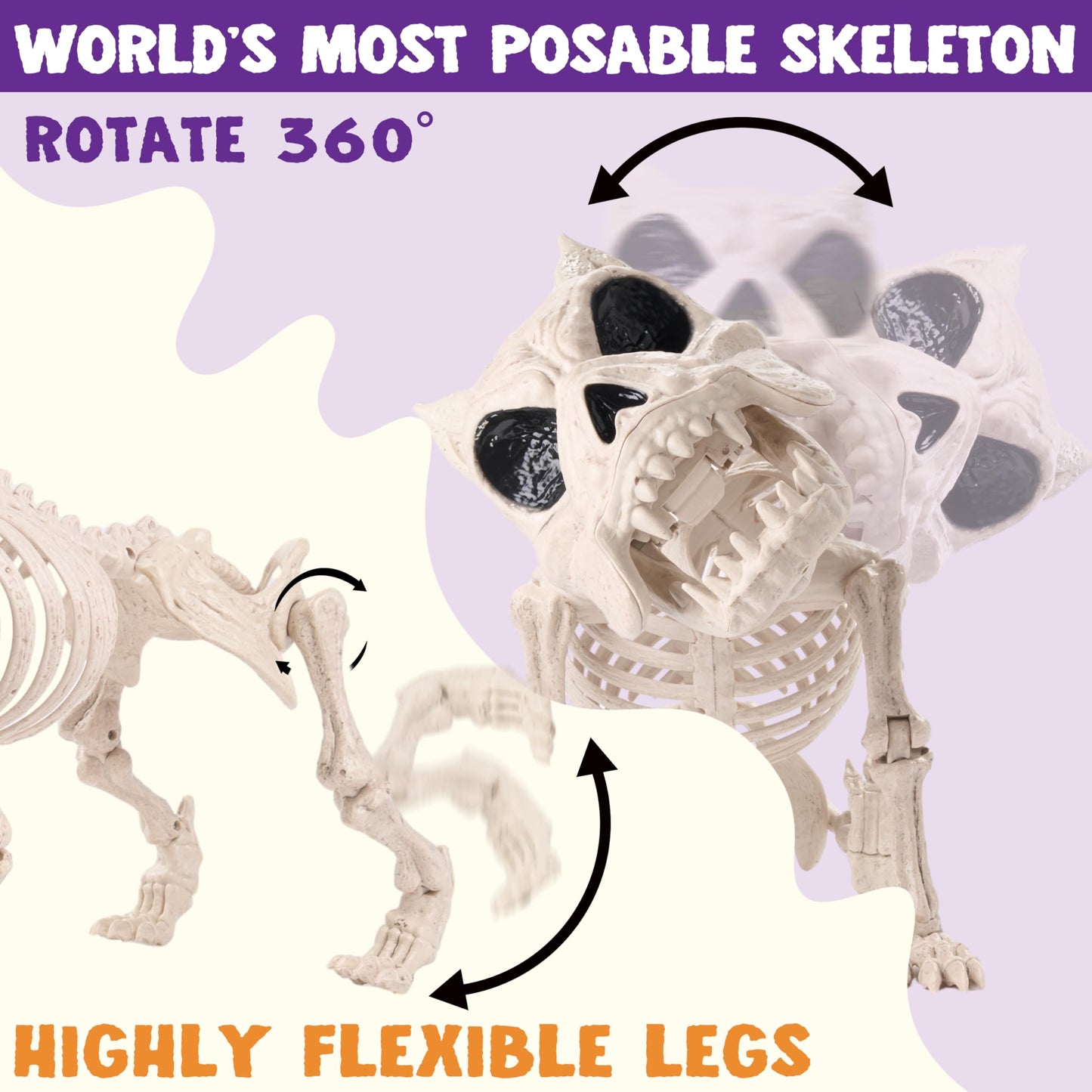 Joyfy 16 Inch Halloween Skeleton Dog Skeleton Halloween Decor,Pose-N-Stay Plastic Skeleton Bones with Posable Joints for Hallowmas Decoration Outdoor Haunted House Party