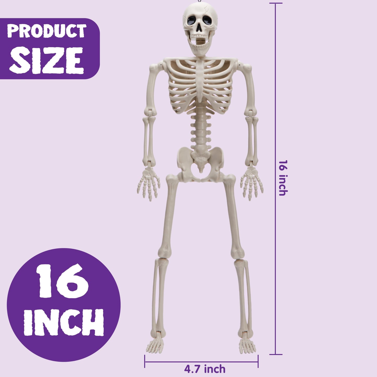 Joyfy 3 Pcs Skeleton Halloween Decorations,16 Inch Full Body Poseable Skeleton with Movable Joints for Halloween Indoor Outdoor Party,Graveyard,Haunted House Accessories