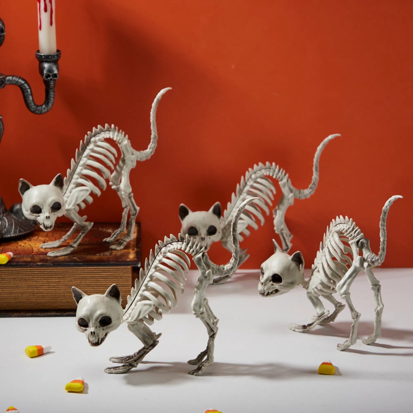 Syncfun 4 Pcs Cat Skeleton Halloween Decoration,7 Inch Posable Plastic Animals Halloween Skeleton for Indoor Outdoor Halloween Decorations,Haunted House Party Props