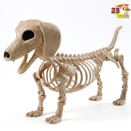 Joyfy 24" Halloween Wiener Dog Skeleton with Posable Joints, Plastic Full Body Skeleton for Party Spooky Animal Courtyard Decorations, Outdoor Indoor Decor