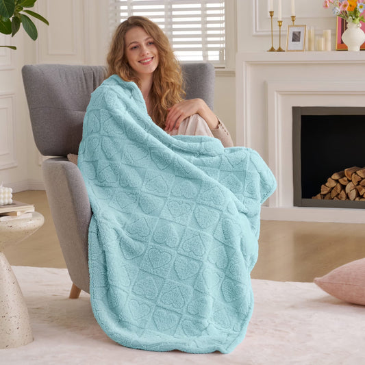 Joyfy Soft Lake Blue Fleece Throw Blanket Checkered 50x60 Inches, 280GSM Cozy Cute Blanket for Couch - Aesthetic Home Room Decor and Gift for Women, Mom, Girls