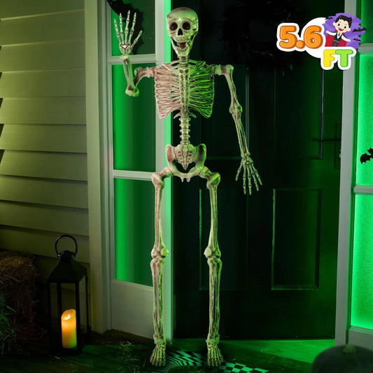 Syncfun 5.6 FT Halloween Life Size Skeleton,Poseable Full Size Plastic Skeleton Bones with Movable Joints Outdoor Halloween Decorations Yard Decoration