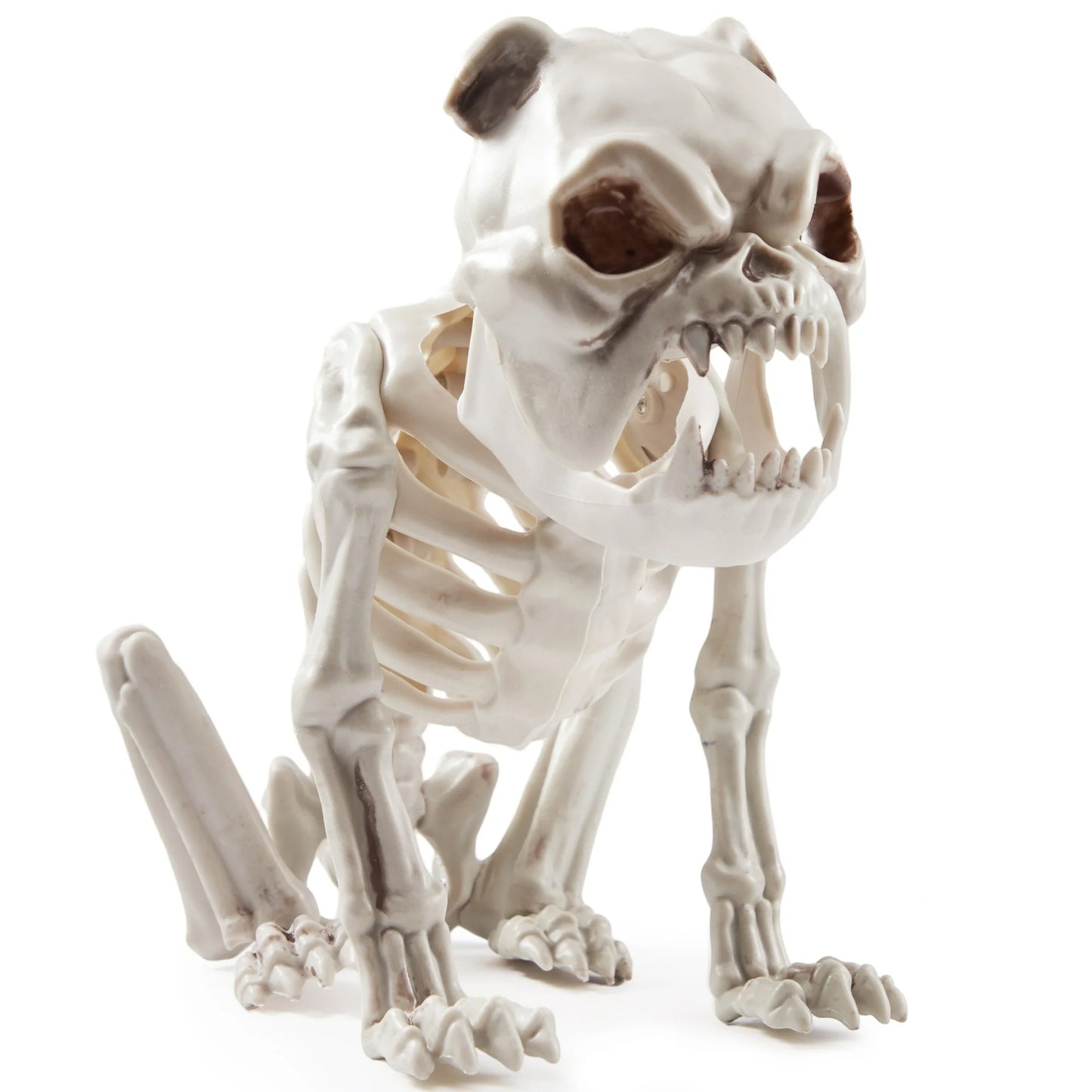Syncfun 8 Inch Halloween Skeleton Dog Skeleton Halloween Decor,Plastic Skeleton Bones with Posable Joints for Hallowmas Decoration Outdoor Haunted House Party