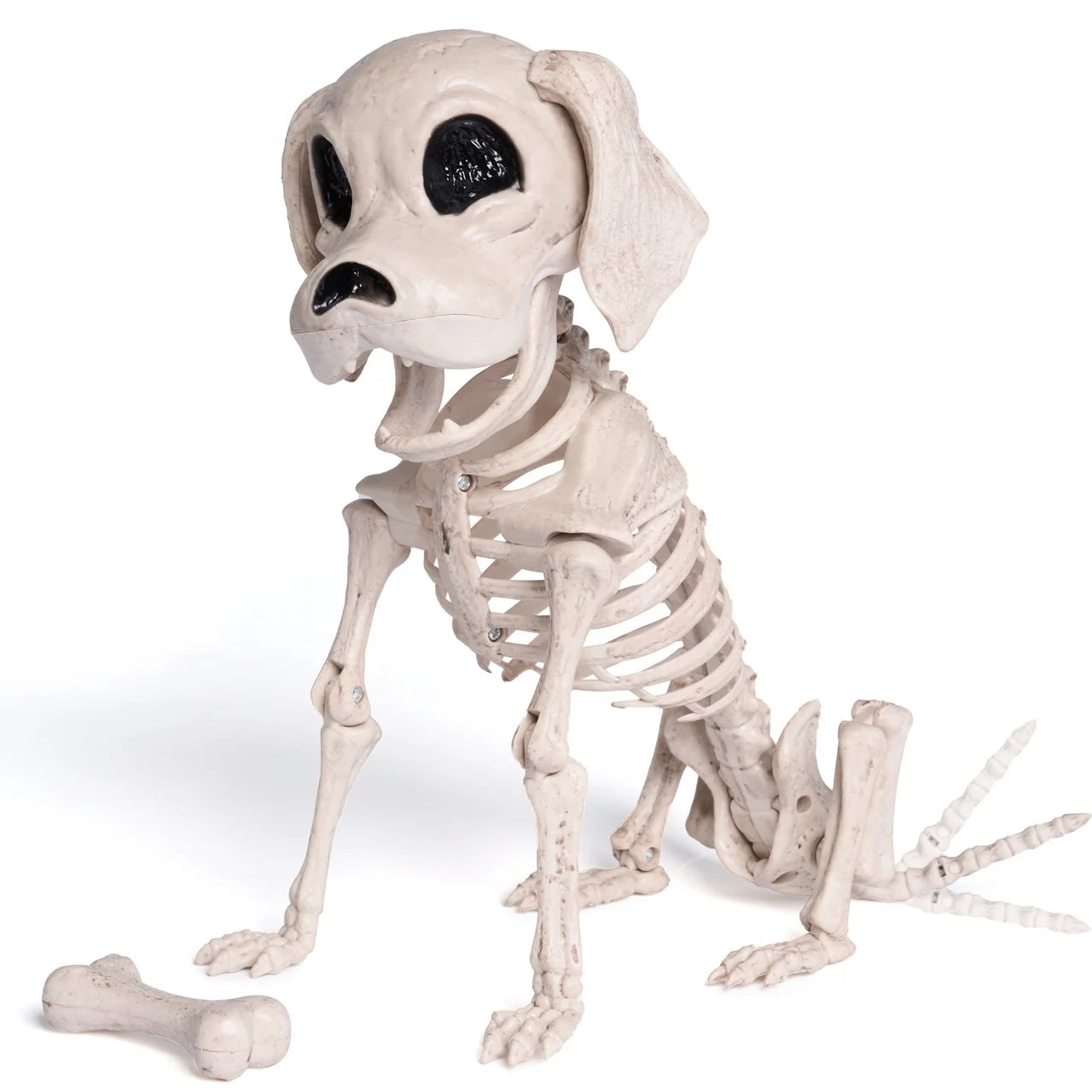 Joyfy 9.8 Inch Halloween Skeleton Dog Skeleton Halloween Decor,Pose-N-Stay Plastic Skeleton Bones with Posable Joints for Hallowmas Decoration Outdoor Haunted House Party