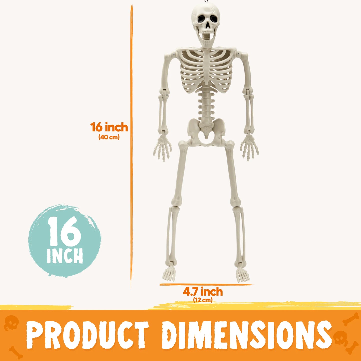 SYNCFUN 1 Pcs Halloween Skeleton Decorations,16 Inch Full Body Poseable Skeleton with Movable Joints for Halloween Indoor Outdoor Party,Graveyard,Haunted House Accessories