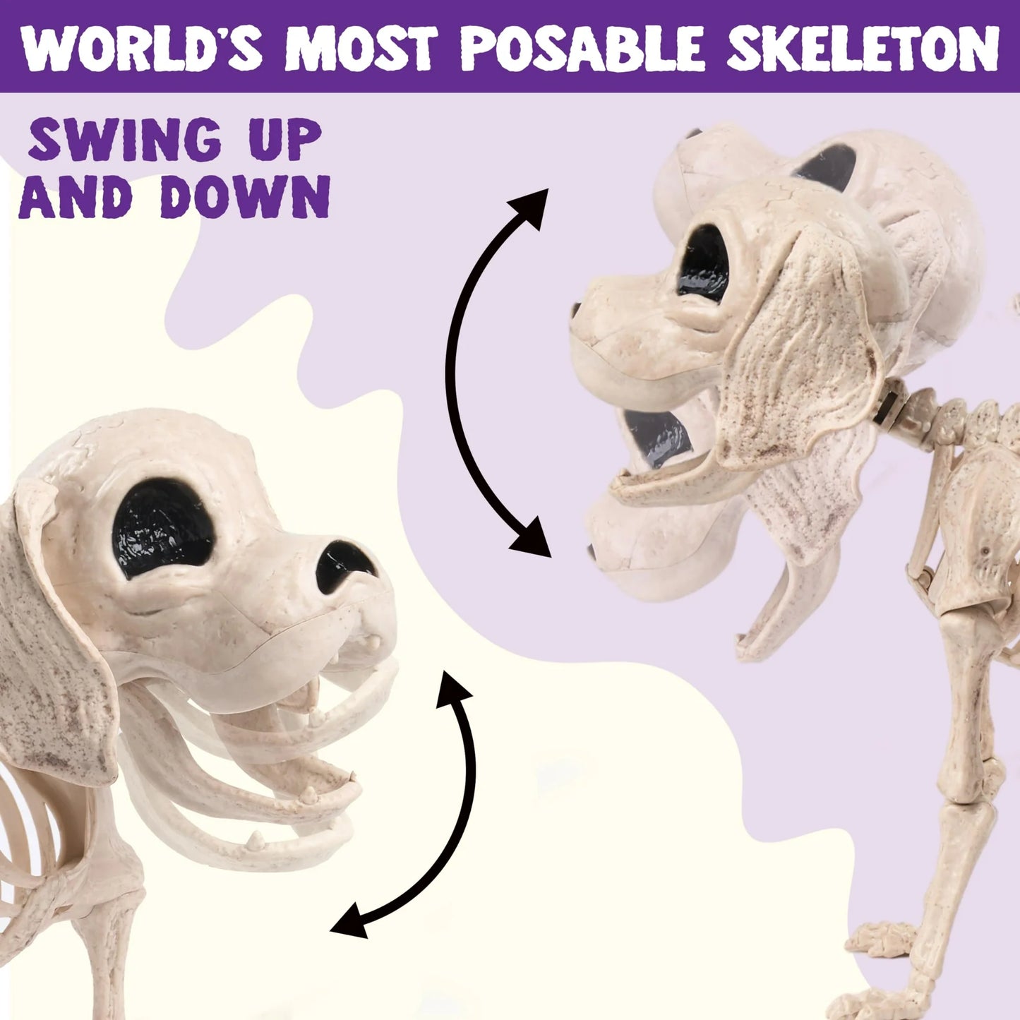 Joyfy 9.8 Inch Halloween Skeleton Dog Skeleton Halloween Decor,Pose-N-Stay Plastic Skeleton Bones with Posable Joints for Hallowmas Decoration Outdoor Haunted House Party