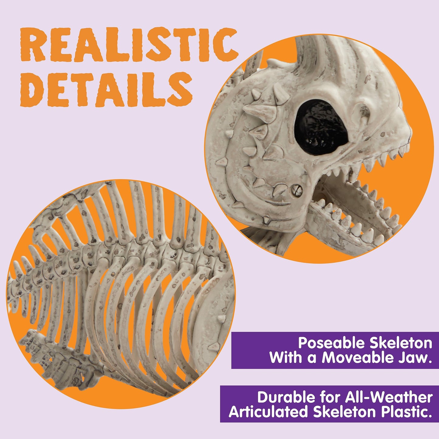 Joyfy 2 Pcs Fish Skeleton Halloween Decoration,9.5 Inch Posable Plastic Animals Halloween Skeleton for Indoor Outdoor Halloween Decorations,Haunted House Party Props